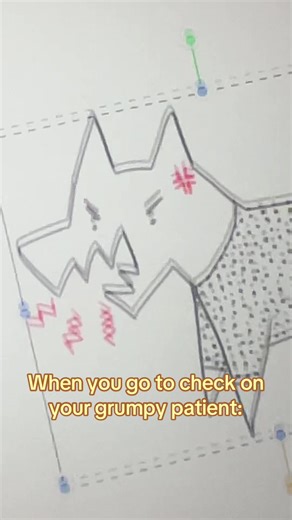 Navigating Nurse-Patient Interactions