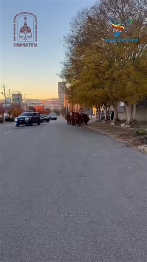 Walk for Peace on Instagram: "🌸 Today is going to be a peaceful day for us. This is how we started our Day 51 (12/15/2025) in the early morning: by being grateful for the place that sheltered us last night, and by starting the day peacefully and mindfully with every step. May you and all beings be happy and at peace. 🙏 #Aloka #PeacefulDay #WalkForPeace #W4P #Dhammacetiya #TykheoTueNhan #AlokathePeaceDog"