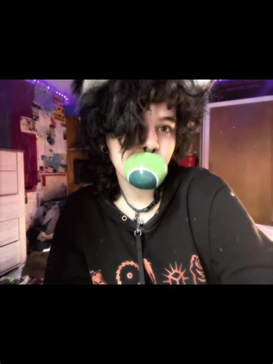 Haii.. TAGS ———— #kemonomimi #sfw #mutt #dogboy #puppy | puppies