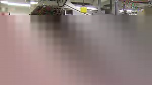 1.1M views · 19K reactions | World-renowned surfer, Tamayo Perry, was killed in a rare fatal shark attack while surfing off the Hawaiian island of Oahu, according to officials. The Hawaiian local also acted in "Pirates of the Caribbean" and "Blue Crush." Matt Rivers reports. https://trib.al/EkvaIgy | ABC World News Tonight with David Muir | Facebook