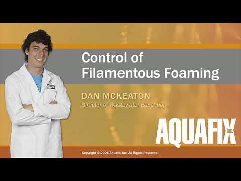 Nocardia and Microthrix: Key Drivers and Control