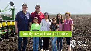 Schoen Farms Golden German Millet 7 LBS, Wild Bird Seed