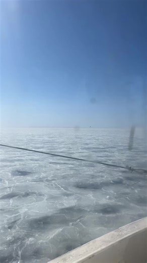 How to Cook Snow Crab: A Cold Start Guide