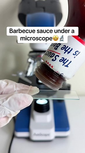 400x is so interesting #microscope