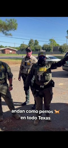 Cuidado, mi gente de Houston, Texas y de sus alrededores de todo el estado de texes, ya que el día de hoy comenzaron los operativos masivos de parte de inmigración o de la patrulla fronteriza #patrullafronteriza #Redadas #alerta #flyp #parati