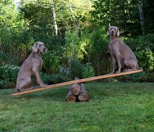 What would you title this animation? | William Wegman