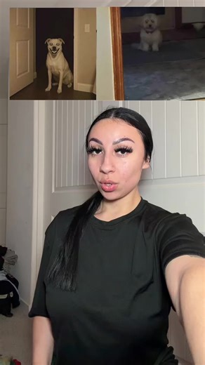 What If They Remember? Unearthing Scary Tales