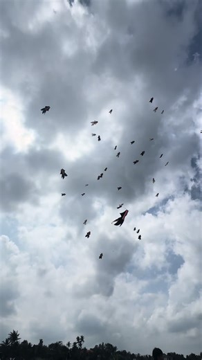 Nareh lagi menari nari🤩🤩