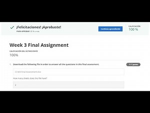 Excel Skills for Business: Intermediate 2 ll Week 3 Final Assignment 100% ll Coursera