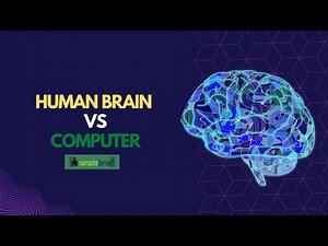 Difference Between Human Brain And Computer | Brain Vs Computer