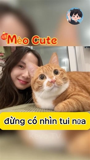 Đừng Có Nhìn Tui! - [Kevo TV] #shortvideo #mèo