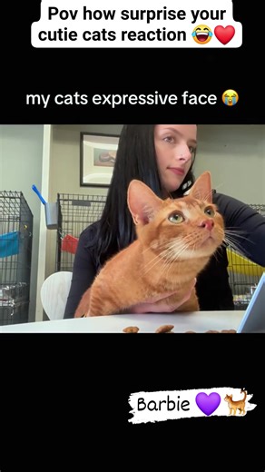 119K views · 8.3K reactions | The expression  it's cute overload  Cutie cat's face reaction 殺 #barbiecatlover #cat #petlovers | Barbie Nathazha | Facebook