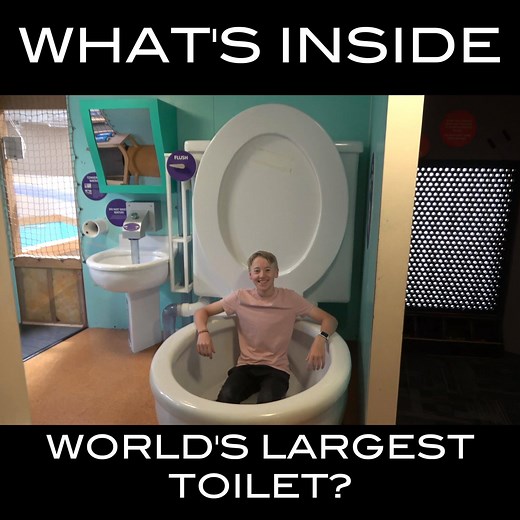A human can be flushed down this giant toilet! We found the WORLD'S LARGEST TOILET! Would you want to come here? | What's Inside?