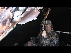 Mathews TV with Dave Watson - The New Creed
