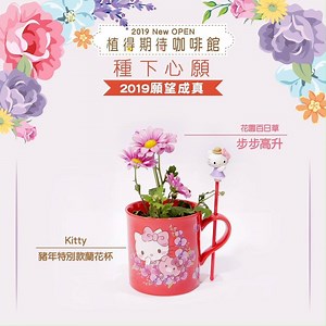 31K views · 2K reactions | 【Hello Kitty花語　守護你的2019】 ...