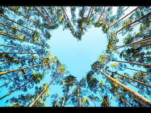 The Majestic Realm of Nature - A Mini Documentary on Mother Earth that Nourish Us (14 Minutes)