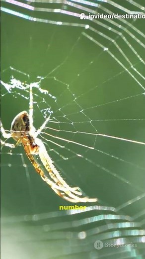 Top 5 Most Common Phobias - You Won't Believe These Phobias!