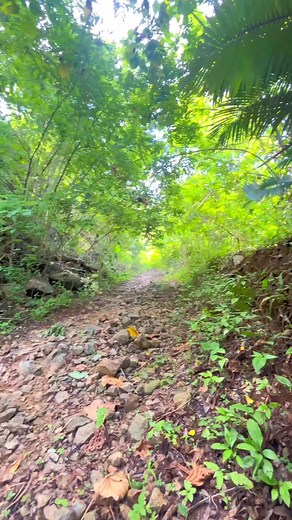 Very small compression @topfans AC Cycle AC Cycle Racing Team OneUp Components Buff & Brew Rapide Malolos - Bulacan Auto Service Experts Motion Gravity Stomped Riding Concepts CRUNK Nodignoride DMV Bike Parts & Accessories Oponside #accyle #accycleracingteam #oneupcomponents #fbreelsfypシ゚viralfbreelsfypシ゚viral #fbreelsfypシ゚viralシ #fbreelsviral | Boytik,Jr