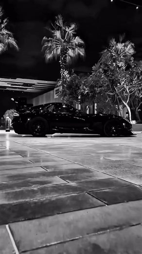 24K views · 1.7K reactions | Speed Muscle Society on Reels | Facebook