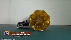 Ingenious Creations That Are Redefining Technology