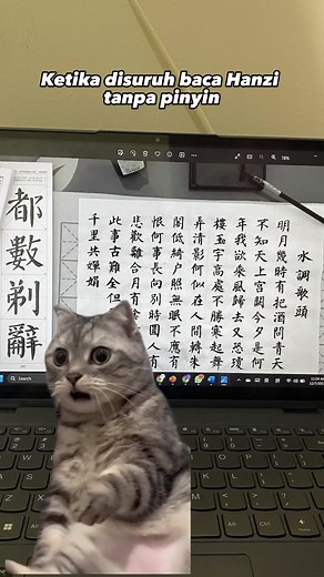 Belajar Membaca Hanzi Tanpa Pinyin