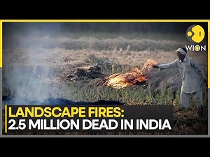 Air Pollution Deadly Toll Revealed: Over 2.5 Mn Deaths In India Linked To Landscape Fire Pollution