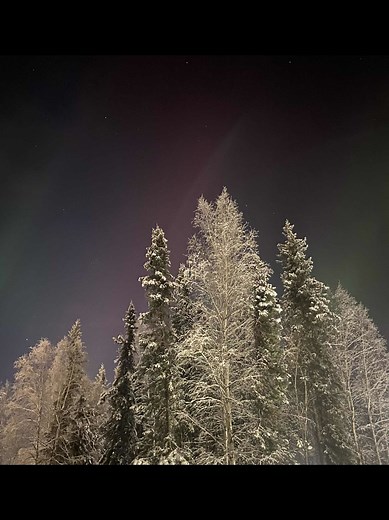 Tonight’s aurora reached an astonishing 8.33 KP — one of the strongest displays we’ve seen this year! The sky was alive with intense greens and rare, brilliant reds that shimmered across the horizon. If you had booked your wedding tonight, you would have been saying “I do” under one of the most breathtaking Northern Lights displays imaginable. ❤️💚 It’s nights like this that remind us why Aurora Borealis weddings in Alaska are so unforgettable. 📸 Fairbanks, Alaska | #AuroraWedding #GoldenHeartW