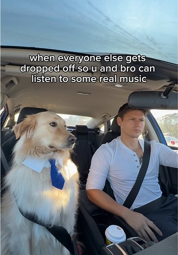 Essential Songs for Every Supernatural Playlist