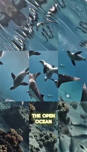 Scientists Tracked the Largest Great White Shark. Then It Entered the Deep 😱 #darkorigins #shark