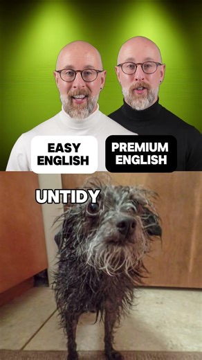 Do you know these words for UNTIDY?