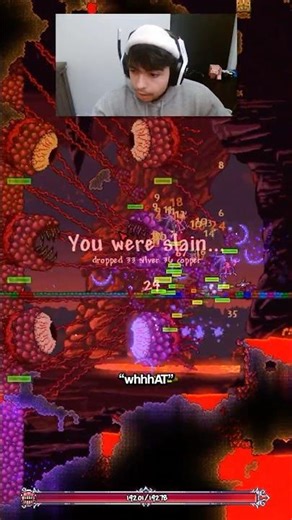 Another Wall of Flesh Spawned Mid-Fight