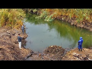WE FOUND A HOLE IN THE STREAM WHERE ALL THE FISH ARE AND THEY RUSHED OUT, ONE AFTER ANOTHER! THIS...