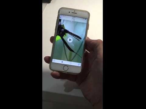 How to email video from your iPhone