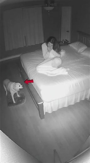 Vidéo impossible expliquer #insolite #horreur