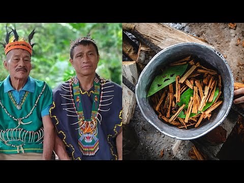 The Shaman and Ayahuasca | Kichwa Indigenous Tradition in the Ecuadorian Amazon