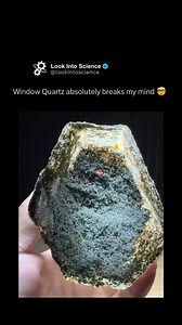 2.9M views · 51K reactions | Our page teaches you something NEW every day 易 #reels #explore #memes | Explaining Everything | Facebook