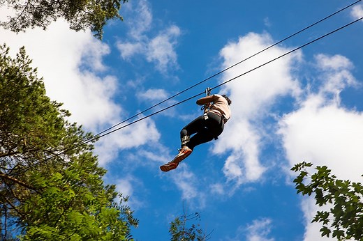 Go Ape Wyre | High Ropes in Worcestershire