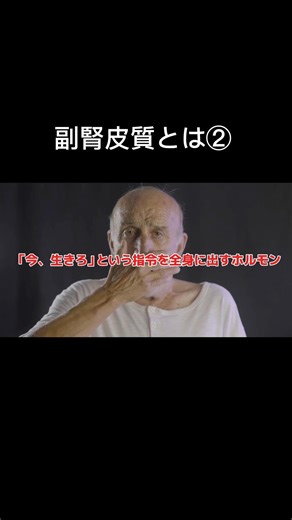 副腎皮質について#shorts