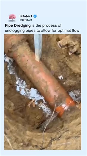 Stop Doomscrolling | Stay Focused on Instagram: "I’ll halve your screen time, just comment ‘Yes’. I’ll send you an app that helps you: * Block distracting apps 24/7 * Set a time limit every time you open them * Automatically reblock when your time is up. * Wait a delay before every unlock for friction. #funny #fails #humor #reelviral #fyp fypシ screentime"