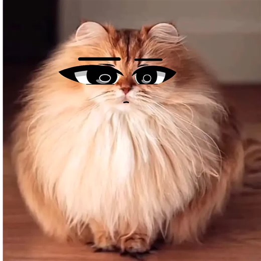 муфлон #муфлон