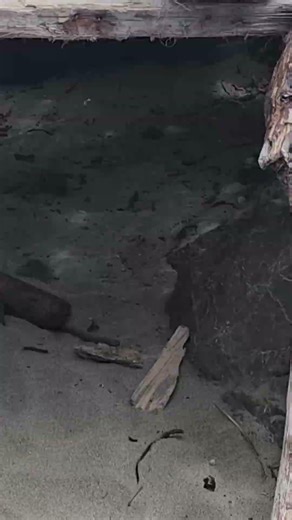 beach hut @beckytucker1991