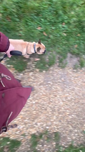 You can use the most advanced tool in an incorrect way and it’ll have...