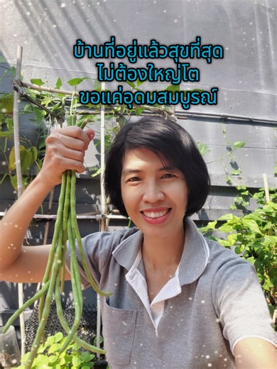 วันนี้ชวนมาปลูกต้นไม้ พืชผักสวนครัวในเมืองกันค่ะ #ปลูกผักกินเอง #tiktokuni #เศรษฐกิจพอเพียง #สวนผักข้างบ้าน