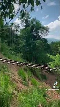 බිල්ඩින් එකක් ෆ්ලෙන්ට් කරන් ඉන්න පොරවල්...මාස දෙකෙන් හදනවා කියපු කොච්චි පාර තාම එල්ලෙනවා.කෝ බිමල්