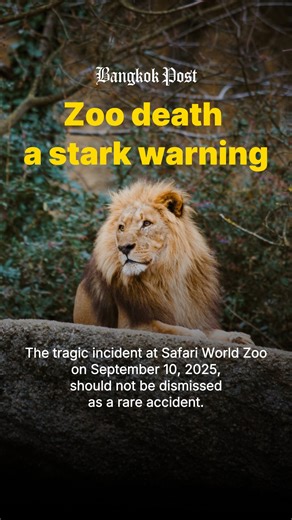 The death of a zookeeper mauled by lions is a reminder that caring for dangerous wild animals requires proper training, resources and experience - not dismissed as a rare accident. | Bangkok Post