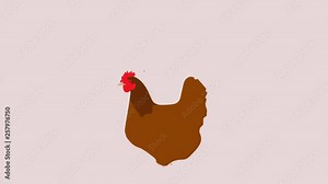 Hen egg Animation Cartoon Chicken Hen laying an egg, Hen Chicken egg illustration and Hen egg zoom
