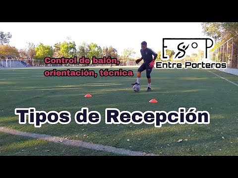 Tipos de Recepción, control, orientación, técnica y ejercicios.