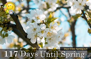 The Countdown to Spring    https://daysuntilspring.net   . . . #Spring #Spring2021 #SpringCountdown #countdown #sunandfun #CountdowntoSpring * All Credit to the Artist | Spring Countdown | Facebook