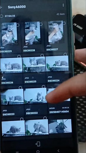 How to send photos to a cellphone from a Sony a6000 DSLR camera using WiFi
