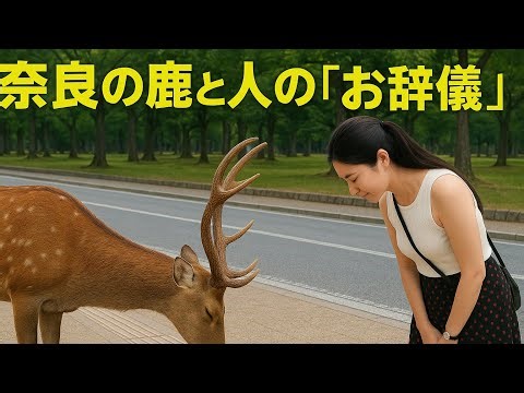「奈良の鹿と挨拶 – 人と鹿の心温まる瞬間“Bowing Deer of Nara – A Heartwarming Greeting”#奈良公園 #鹿 #日本旅行 #奈良の鹿 #お辞儀する鹿